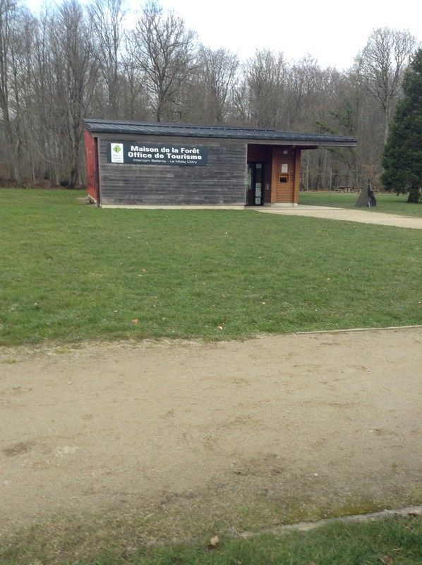 Dans la forêt ........................